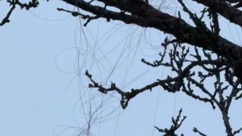 Оптоволоконный кабель от российского FPV-дрона. Фото: t.me/serhii_flash.