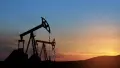 Oil (illustrative image). Photo: Depositphotos.