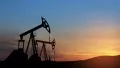 Oil. Photo: Depositphotos.