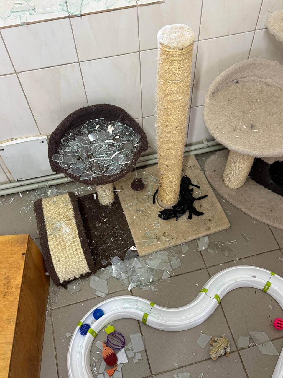 Фото: telegram/Харківська міська рада