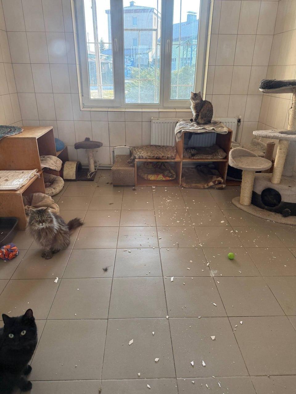Фото: telegram/Харківська міська рада