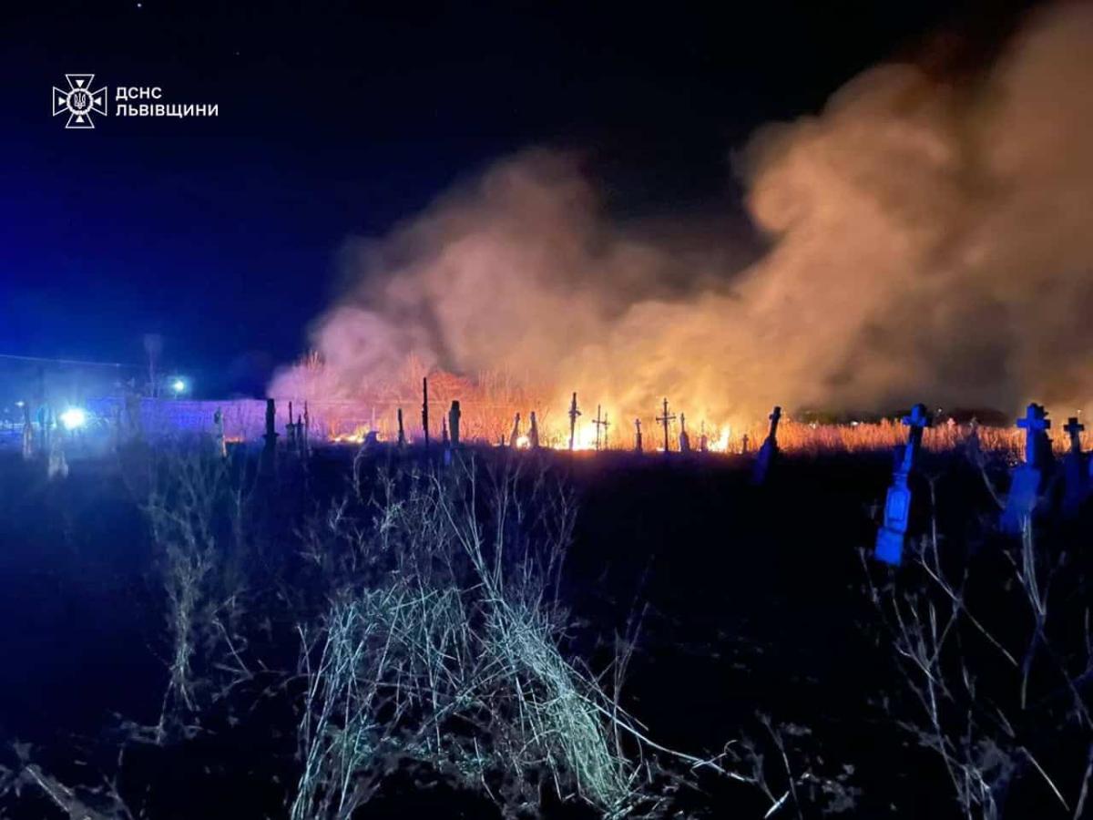 Пожежа на цвинтарі. Фото: ДСНС