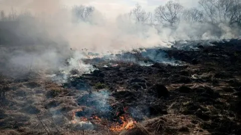 Фото: ДСНС