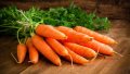 Carrots. Photo: EastFruit