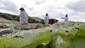 Water comes in all shades: Ukrainian polar explorers show unique photos from Antarctica