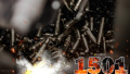 157 combat clashes take place at front during day, most of them in Pokrovsk and Kostiantynivka Axes