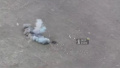 Drone attack on Ukrainian evacuation group. Screenshot