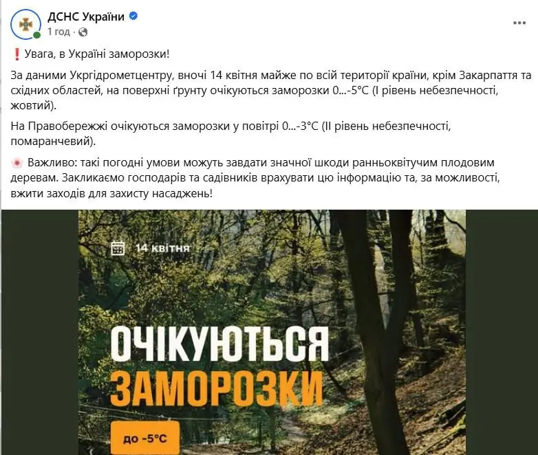 Фото: ДСНС