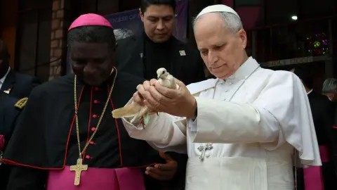 Папа Римский Лев XIV. Фото: vaticannews