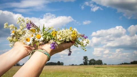 Природа. Фото: pixabay