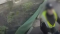 Police at the scene. Photo: screenshot of video