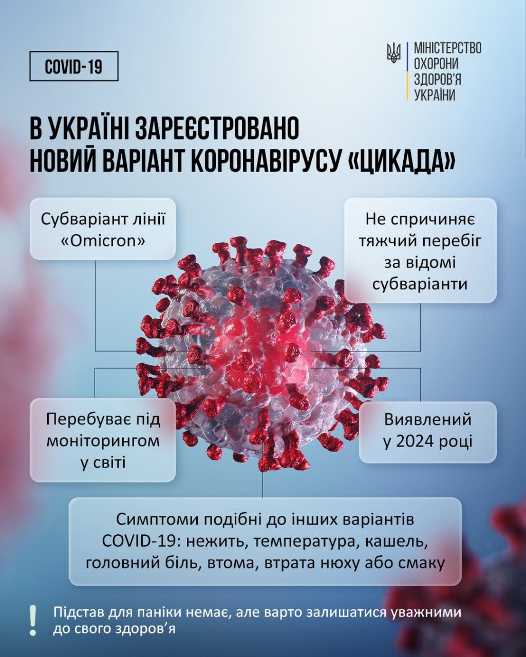 Інфографіка: МОЗ