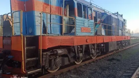 Фото: ГСЧС Житомирщины