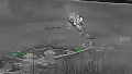 Photo: video screenshot