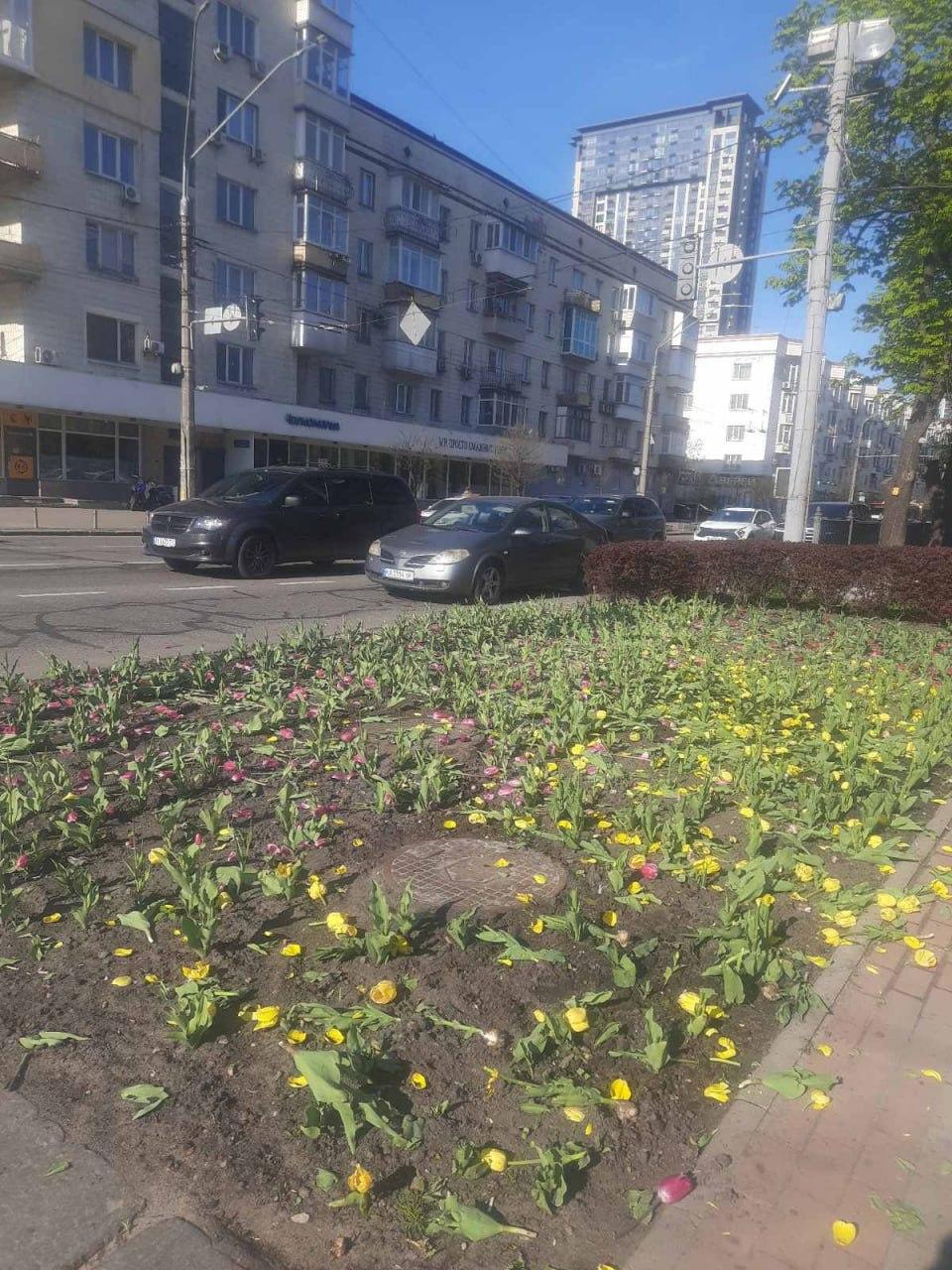 Понівечені клумби. Фото: КМДА