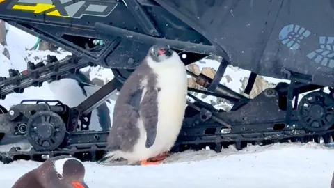 Скрин відео