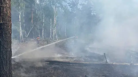 Пожар в Чернобыльской зоне. Фото: facebook.com/dazv.gov.ua