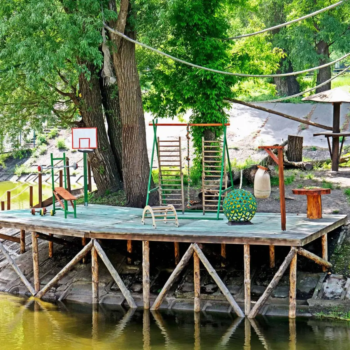 Фітнес-майданчик для лемурів. Фото: 