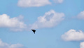 26-year-old woman killed in drone attack on Odesa beach