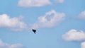 26-year-old woman killed in drone attack on Odesa beach