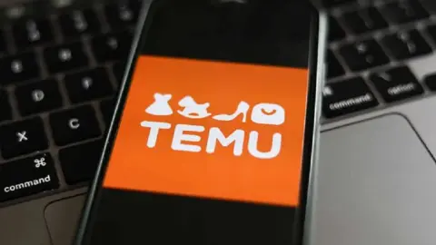 Temu. Фото: drobro