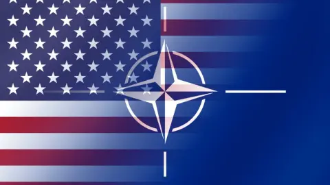 В НАТО сделали заявление об отношениях с США. Коллаж: Army.mil.