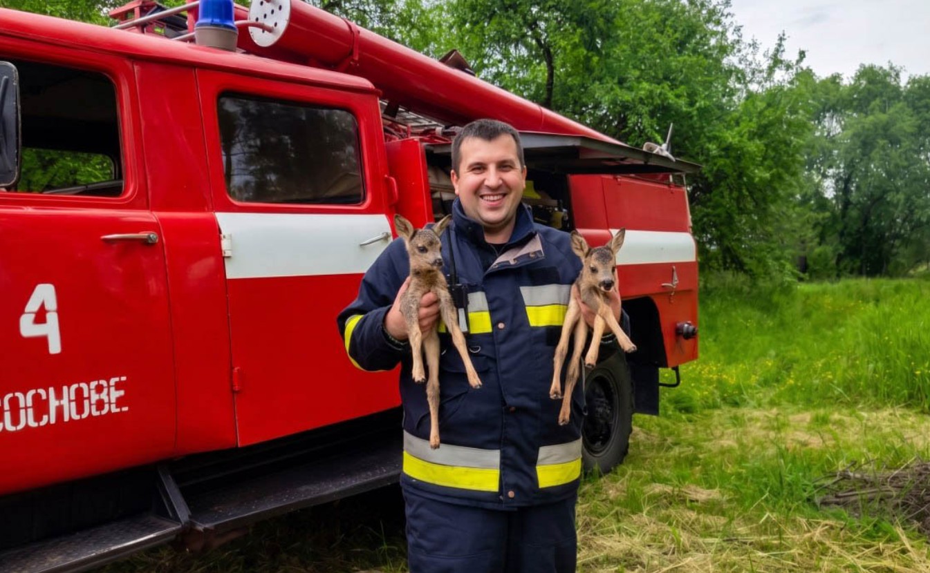 Рятувальник із визволеними оленятами. Фото: ДСНС Рівненщини