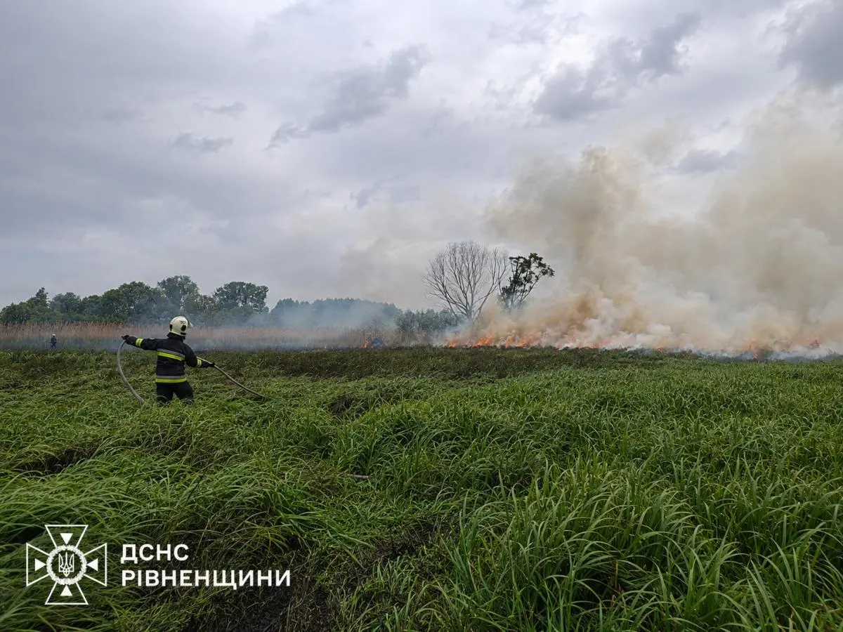 Пожежа сухої трави на Рівненщині. Фото: ДСНС Рівненщини