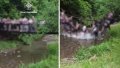 Bridge collapse. Collage: Ukrainian News