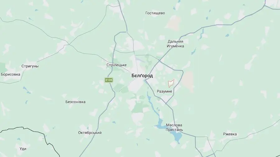Скріншот мапи сервісу Google Maps.