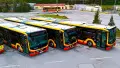 Автобусы, которые должны были передать Виннице. Фото: facebook/MPK Kielce