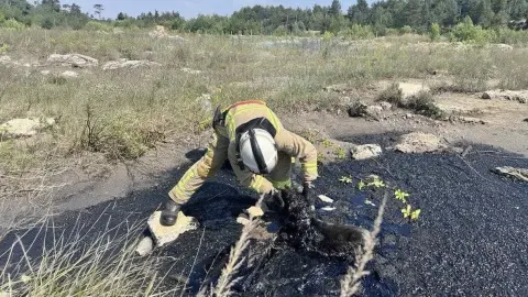 В Ровенской области спасли собаку, которая попала в яму со смолой. Фото: ГосЧС Украины.