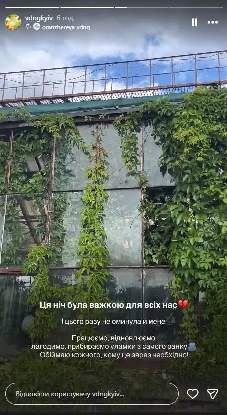 Скриншот сториз: Instagram/vdngkyiv
