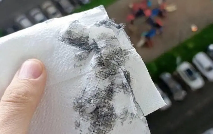 Фото: t.me/ostorozhno_moskva.
