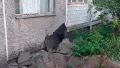 Боевая часть ракеты упала возле жилого дома в Киеве. Фото: Нацполиция Украины