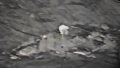 Destruction of enemy targets. Photo: video screenshot