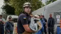 Двох котів дивом врятували після ударів у Києві та Вишневому: одного знайшли з важкими опіками, іншого витягли з-під завалів