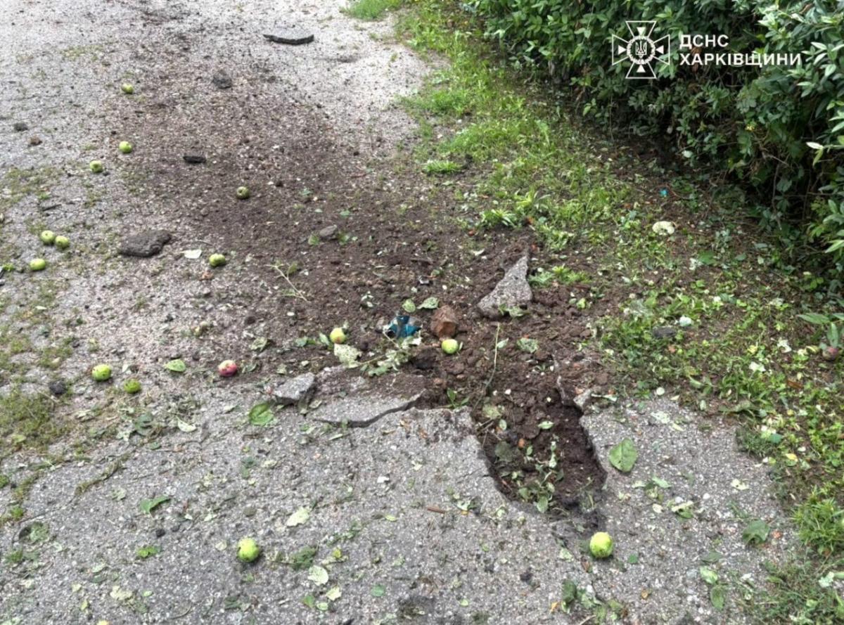 Фото: ДСНС