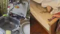 Що виявила перевірка омбудсмена. Фото: Фото: Facebook Офіс Омбудсмана України


