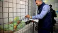 Організатору заходу виставці озброєння на Київщині оголосили підозру. Фото: ОГПУ.