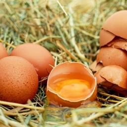 Ukraine Receives Right To Export Poultry Meat And Eggs To Singapore
