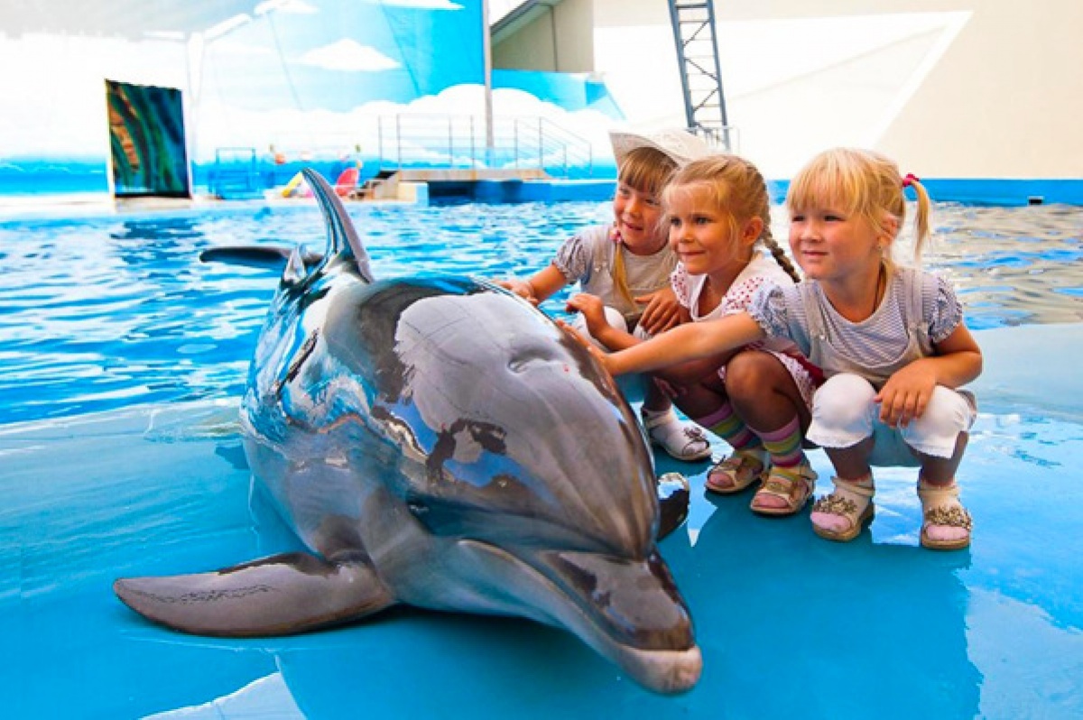 Верховный Суд, Дельфины, дельфинарий в Трускавце, международная зоозащитная организация, запрет деятельности дельфинария