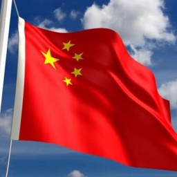 What topics on China interest you most?