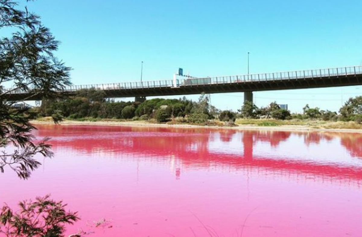Озеро, Австралія, Рожеве озеро