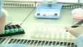 Health Ministry Initiating Ban On Cosmetic Products Testing On Animals