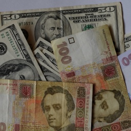 Interbank Quotations Go Lower 25.00 UAH/USD And Exceed Level Again