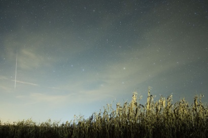 Картинки по запросу Северный участок звездного неба с ковшом Большой Медведицы и ярким метеором