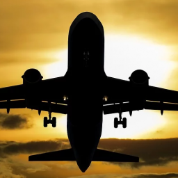 6 Chinese And 4,000 Ukrainians Arrive By Direct Flights From China To Ukraine From January 20 To February 3