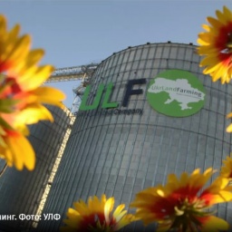 Maize takes up 60% of UkrLandFarming's sown area this season