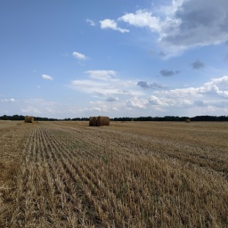 Zelenskyy Approves Lifting Of Moratorium On Agricultural Land Sale From July 2021